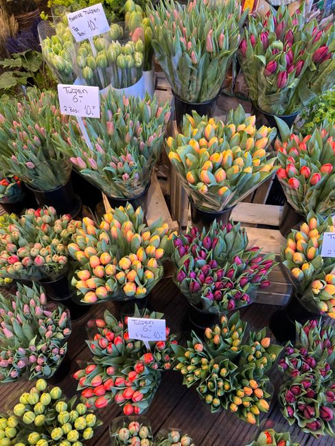 A display of potted tulips in various colours, including pink, yellow, orange, and purple, arranged on wooden pallets at a flower market. The tulips are in black pots with some wrapped in clear plasti