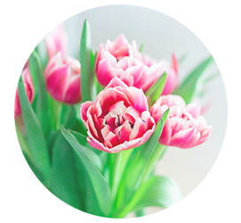 Same day Flowers Barking